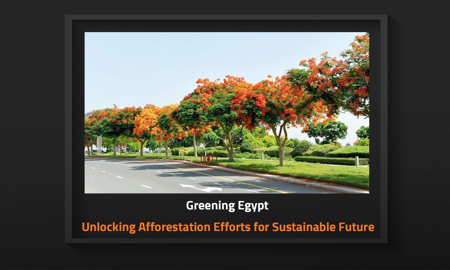 Greening Egypt: Unlocking Afforestation Efforts for Sustainable Future